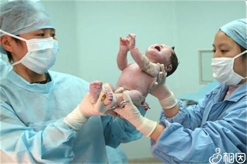 试管代怀生子助孕代妈